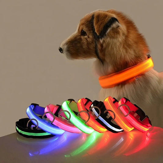 led collar for dogs